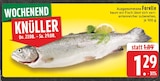 Forelle im Angebot bei E center in Langenfeld Forelle Angebote bei E center Langenfeld für 1,29 €