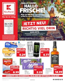 Monster Energy im Kaufland Prospekt "Aktuelle Angebote" mit 64 Seiten (Hamm)