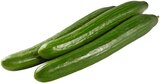 REWE Bad Heilbrunn - Salatgurke Angebot im Prospekt Salatgurke bei REWE im Bad Heilbrunn Prospekt für 0,88 €