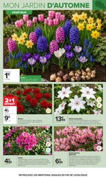 Offre Bulbes à fleurs dans le catalogue Carrefour du moment à la page 4