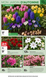 Promos Bulbes à fleurs dans le catalogue "JARDIN" de Carrefour à la page 4 Promos Bulbes à fleurs dans le catalogue "JARDIN" de Carrefour à la page 4