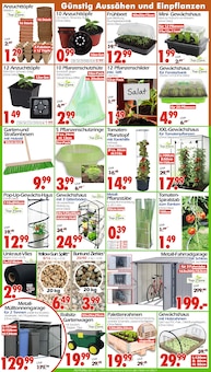 Wreesmann Prospekt der Woche "DEIN SAISON- & SONDERPOSTENMARKT!" Seite 2, 02.03.2026 bis 06.03.2026 für Zörbig Aktueller Wreesmann Prospekt "DEIN SAISON- & SONDERPOSTENMARKT!" Seite 2 von 12 Seiten für Zörbig