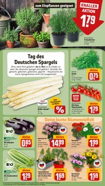 Ähnliche Angebote wie Chrysantheme im Prospekt "Dein Markt" auf Seite 7 von REWE in Reutlingen
