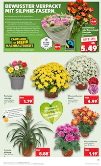 Farbe im aktuellen Kaufland Prospekt (Heilbronn) Farbe im Kaufland Prospekt "Aktuelle Angebote" mit 48 Seiten (Heilbronn)