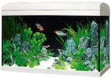 Aquarium Complete Angebote von Marina bei ZooRoyal Norderstedt für 59,99 €