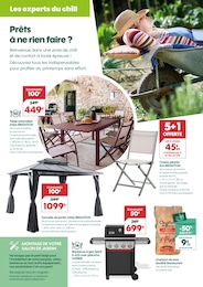 Offre Chaise de jardin pliante dans le catalogue Truffaut du moment à la page 4