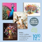 Bilder im Angebot bei Trends in Essen Bilder Angebote bei Trends Essen für 19,90 €