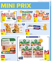 Choucroute Angebote im Prospekt "SPÉCIAL MAXI FORMAT" von Carrefour auf Seite 29