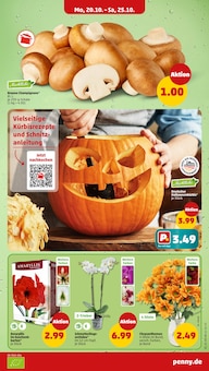 Pflanzen Angebot im Penny Prospekt, gültig von 20.10.2025 bis 26.10.2025 Pflanzen Angebot im aktuellen Penny Prospekt auf Seite 3