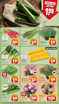 Spargel im REWE Prospekt "Dein Markt" mit 28 Seiten (Mönchengladbach)