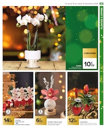 Offre Orchidée dans le catalogue Carrefour du moment à la page 65