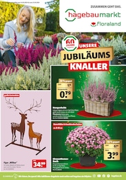 Hagebaumarkt Prospekt für Scherbenmühle: "UNSERE JUBILÄUMSKNALLER", 16 Seiten, 14.09.2024 - 21.09.2024