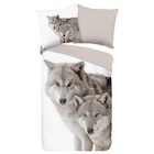 Baumwoll Bettwäsche Fera Flanell im aktuellen POCO Prospekt für 40,99 €