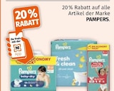 Aktuelle Pampers Angebote bei Müller in Cottbus Aktuelles 20 % RABATT Angebot bei Müller in Cottbus