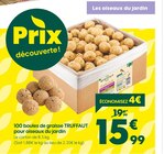 100 boules de graisse pour oiseaux du jardin - Truffaut dans le catalogue Truffaut