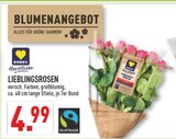 Lieblingsrosen bei Marktkauf im Delbrück Prospekt für 4,99 €