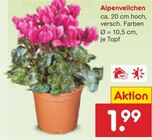 Angebot im Netto Marken-Discount Dresden Prospekt Netto Marken-Discount Dresden Prospekt mit im Angebot für 1,99 €