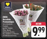 Premiumtulpen Angebote von EDEKA Herzstücke bei EDEKA Zwickau für 9,99 €