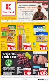 Kaufland Prospekt: "EXTRA-ANGEBOTE", 8 Seiten, 05.06.2025 - 11.06.2025