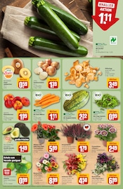 Bio im REWE Prospekt in Heidelberg Aktueller REWE Prospekt mit Bio, "Dein Markt", Seite 7