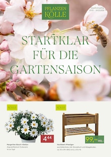 Blumen im Pflanzen Kölle Prospekt "STARTKLAR FÜR DIE GARTENSAISON" mit 2 Seiten (Nürnberg)