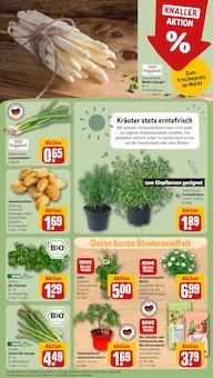 Tomaten im REWE Prospekt "Dein Markt" mit 28 Seiten (Karlsruhe)