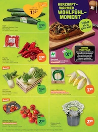 tegut Paprika im Prospekt 