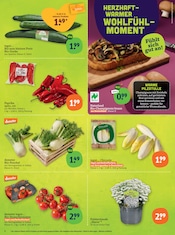 Aktueller tegut Prospekt mit Pilze, "tegut… gute Lebensmittel", Seite 4