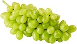 Helle Tafeltrauben bei REWE im Gröbern Prospekt für 1,69 €
