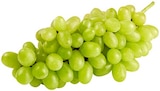 REWE Wittstock - Helle Tafeltrauben Angebot im Prospekt Helle Tafeltrauben bei REWE im Wittstock Prospekt für 0,99 €