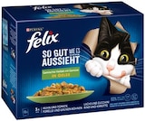 Aktuelles Katzennahrung Angebot bei REWE in Lübeck ab 3,99 €