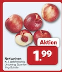 famila Nordwest Quakenbrück - Nektarinen Angebot im Prospekt Nektarinen bei famila Nordwest im Quakenbrück Prospekt für 1,99 €