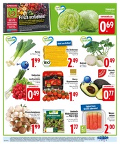 Wild im EDEKA Prospekt in Ingolstadt Aktueller EDEKA Prospekt mit Wild, "HOL DIR DIE EDEKA APP.", Seite 8
