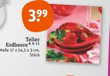 Teller Erdbeere Angebote bei tegut Mühlhausen für 3,99 €