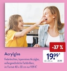 Acrylglas bei ALDI SÜD im Mellrichstadt Prospekt für 19,99 €