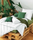 Aktuelle Kissen Angebote bei Ostermann in Wuppertal Aktuelles Ganzjahresbett Angebot bei Ostermann in Wuppertal ab 39,90 €