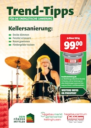 Dethlefsen Baustoffe Prospekt mit 13 Seiten (Hohenaspe)