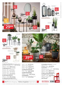 Blumentopf im XXXLutz Möbelhäuser Prospekt "Frühlings-Specials" mit 16 Seiten (Potsdam)