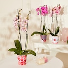 Promo Orchidée Phalaenopsis (h) à 8,99 € dans le catalogue Carrefour Market à Bazincourt-sur-Epte
