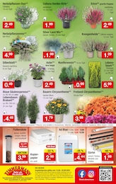 Papier Angebot im aktuellen Zimmermann Prospekt auf Seite 10