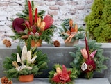 Grabgestecke im Angebot bei toom Baumarkt in Wolfsburg Grabgestecke Angebote bei toom Baumarkt Wolfsburg für 7,99 €