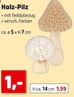 Holz-Pilz für 1,00 € bei Thomas Philipps im Angebot Holz-Pilz im aktuellen Thomas Philipps Prospekt