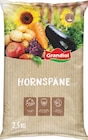 Hornspäne Angebote von Grandiol bei Lidl Neubrandenburg für 5,99 €