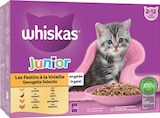 Promo Maxi packs à 10,19 € dans le catalogue Maxi Zoo à Albert