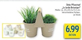 Deko-Pflanztopf 'Le Jardin Botanique' Angebote bei diska Chemnitz für 6,99 €