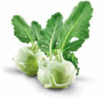Kohlrabi im Angebot bei Netto Marken-Discount in Rostock Kohlrabi Angebote bei Netto Marken-Discount Rostock für 1,00 €