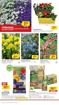 Blumenerde im aktuellen toom Baumarkt Prospekt (Rostock) Blumenerde im toom Baumarkt Prospekt "Respekt, wer's selber macht." mit 22 Seiten (Rostock)
