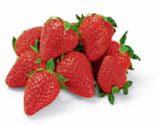 Aktuelles Erdbeeren Angebot bei Netto Marken-Discount in Bremerhaven ab 1,49 €