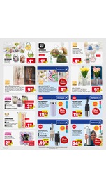 Beleuchtung im E center Prospekt in Trier Aktueller E center Prospekt mit Beleuchtung, "Aktuelle Angebote", Seite 59