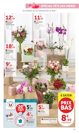 Promos Plantes dans le catalogue "U Express" de U Express Plantes en promo dans le catalogue U Express à la page 25